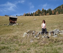 urlaub sommerurlaub winterurlaub Familienurlaub Wanderurlaub oetz oetztal tirol